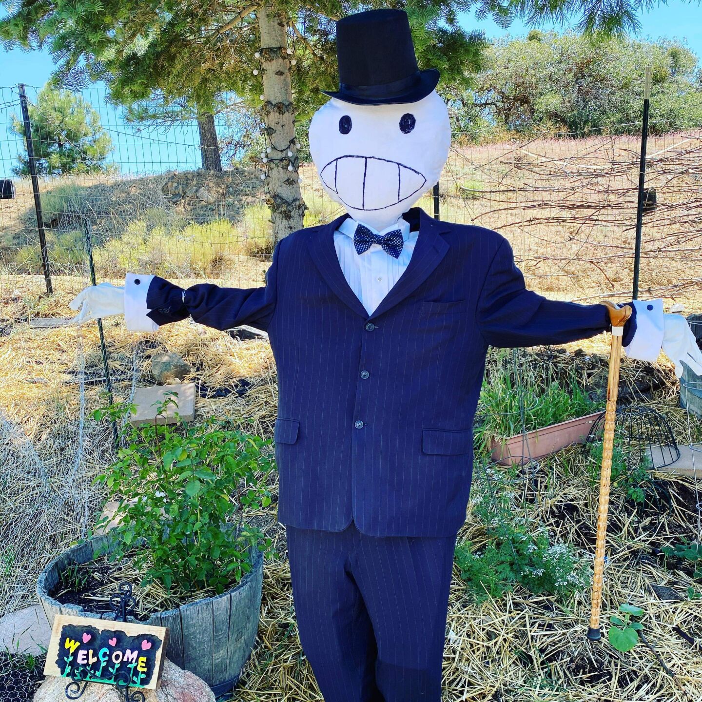william godfrey scarecrow